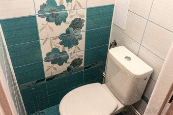 Pronájem nově zrekonstruovaný byt 3+1 (65m2) - 16