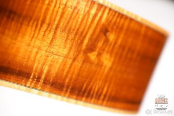 Larivée D-09 Hawaiian Koa - 16