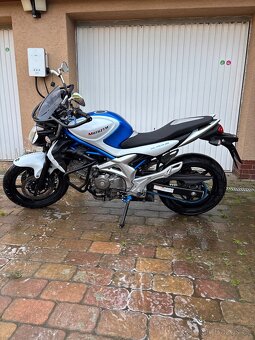 Suzuki Sfv 650 Gladius - 16