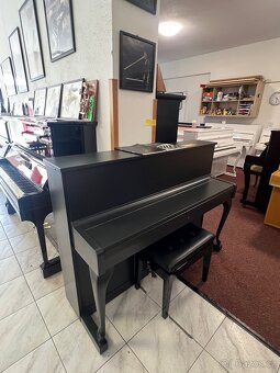 Schimmel se zárukou 2 roky,  doprava zdarma, PRODÁNO - 16