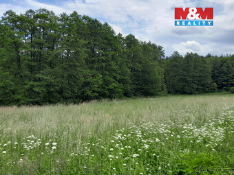 Prodej louky, 19732 m², Oselce - 16