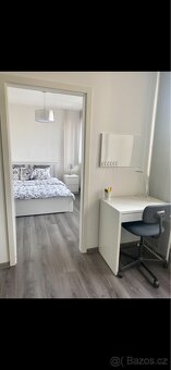 Pronájem bytu 3+kk - 16