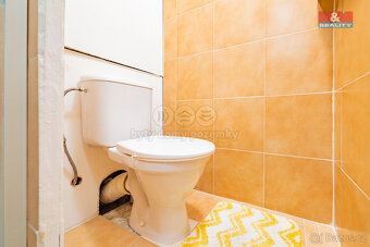 Pronájem bytu 1+kk, 19 m², Aš, ul. Dobrovského - 16