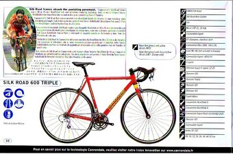 2001 Cannondale Silkroad Saeco, původní osazení, 54 - 16