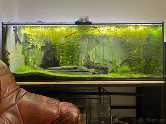 Akvárium cca 900litrů - 16