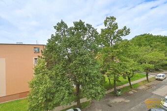 Prodej prostorného bytu 3+1 (93 m²) s vlastní zahrádkou - 16
