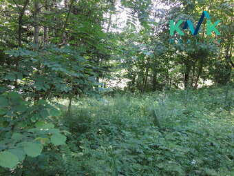 Prodej pozemku o velikosti 3 489 m2, v OV, Tisová u Nejdku - 16