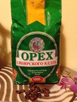 Sibiřský Cedr / Pinus Sibirica - 16