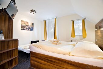 Prodej chaty na pronájem i s profily Airbnb, Booking - 16