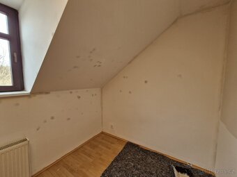 Nabízím malířské práce. Malování bytů. - 16