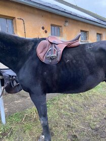 skokove sedlo Jan Hauzr triumf - 16
