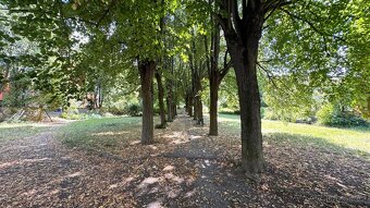 Pronájem 3+1 s lodžií na ul. Vondrákova, Brno - Bystrc - 16