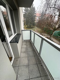 Pronájem bytu 2+1, Husova, Náměšť nad Oslavou - 16