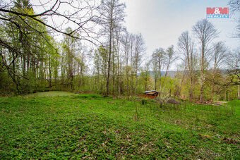 Prodej pozemku k bydlení, 5684 m², Kašperské Hory - 16