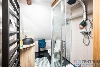 Prodej rodinného domu 250 m2, pozemek 1206 m2 - 16