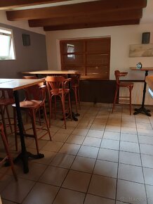 Pronájem nebytového prostoru v Boršově - 16