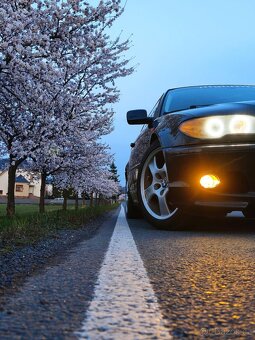 BMW e46 320ci - 16