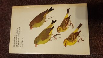 Knihy na téma zvířata. - 16