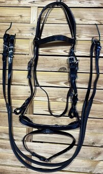 Uzdečka anglická Biothane s otěžemi MIX - 16
