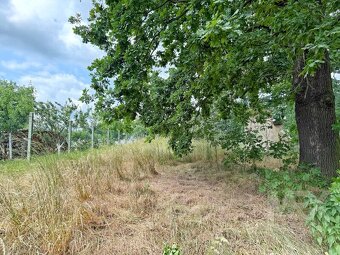 Prodej pozemku v obci Kostěnice - 16