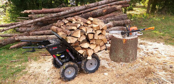 Nový Minidumper B&S s el. start. a spostou příslušenstvím - - 16