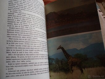 kniha Jezdectví-velký ilustrovaný průvodce - 16