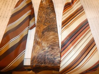 Kravaty a motýlek - 16