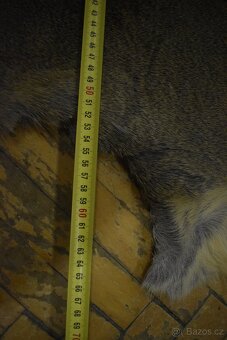 Kožešina Srna 1 - 16