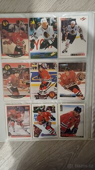 Sběratelské hokejové karty NHL - 16