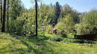 Prodej zahrádky s chatkou 198 m² - 16