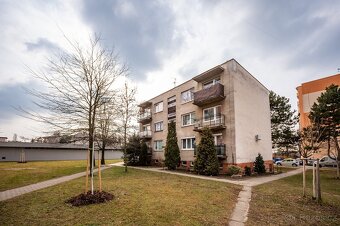 Prostorný Byt 3+1 81,4m2 OV Hodonín - 16