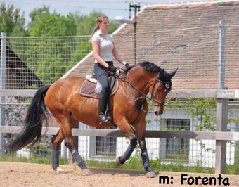 Hřebeček ČT -2025 - 16