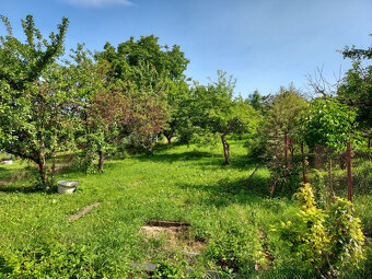 Prodej rodinného domu Seloutky - 16