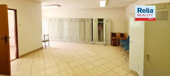Pronájem haly s kancelářemi 700 m2 Provodín, ev.č. N50698 - 16