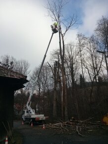 Pronájem plošin - 16