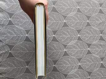 Nová kniha Cesta na tenisový trůn - 16