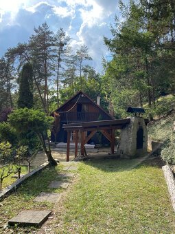pronajem chata na Kokorinsku, v obci ŽELÍZY - 16