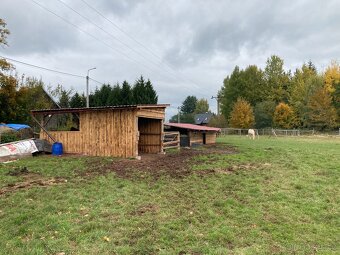 Pronájem pastviny pro koně a ovce - 16