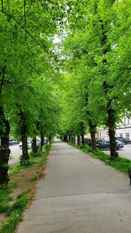 Pronájem 1+1 tř. Kpt. Jaroše, Brno - 16