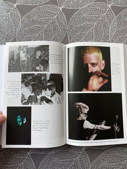 Nová kniha Lou Reed - Život - Anthony DeCurtis - 16