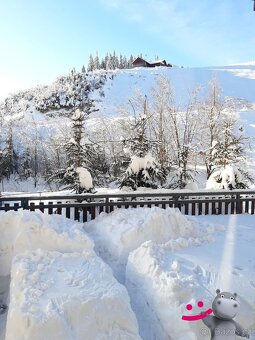 Prodej bytu 1kk + terasa, parkování, 40 m², Ostružná - Petří - 16