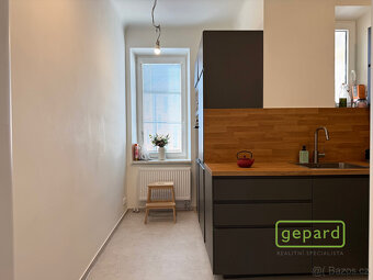 Pronájem bytu 3+1 107 m² - 16