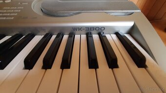 CASIO WK-3800 + LANEY AH 50 - 16