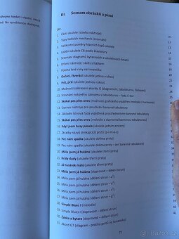 Nová kniha Ukulele v české škole - 16