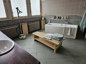 Prodej multifunkční budovy na Střekově - 16