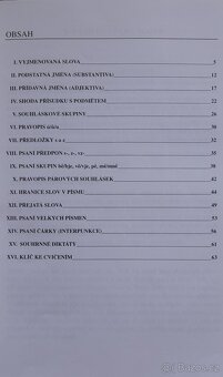 Slovník,  Český jazyk, pravopis - 16