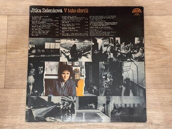 8 x LP desky (Madonna, Bartošová, Gott, Becaud, Fitzgerald.) - 16