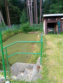 Vacation home and land in Lipno for sale - 16