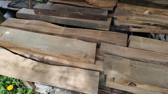 Staré suché listnaté dřevo - 16