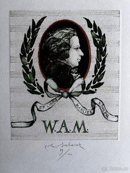 Vladimir Suchanek - exl - 16